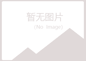 广西盼山律师有限公司